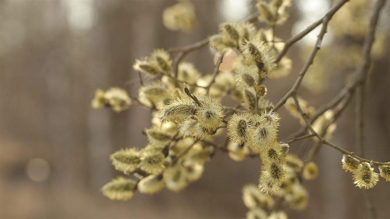Яке свято 12 квітня 2026 і як позбутися усіх хвороб