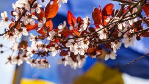 погода в Ужгороді на квітень