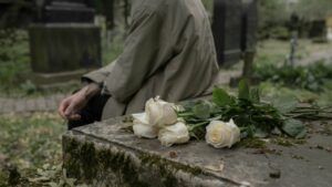 Провідна неділя 2025