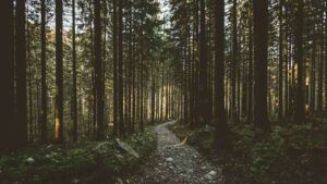 яке свято 26 квітня 2025