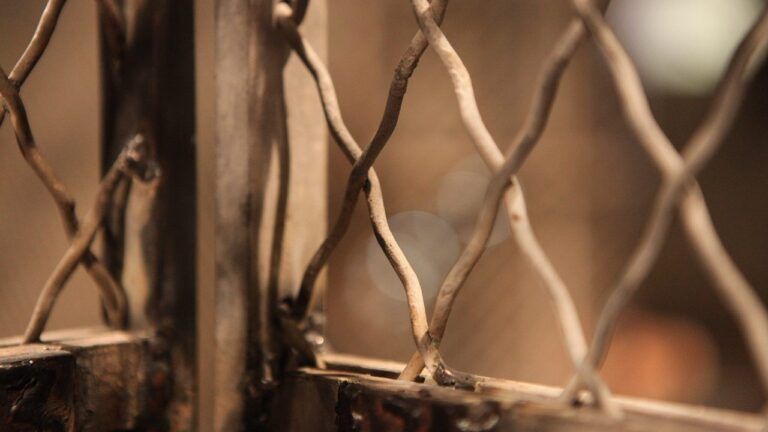 доля жінок після полону