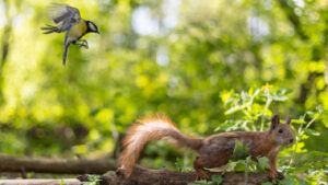 погода на тиждень
