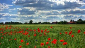 Привітання у День памʼяті та перемоги над нацизмом 2025