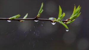 погода на тиждень