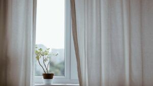 денне світло як захист