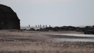 Туристический сезон 2025 на ТОТ провален — ЦПД