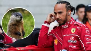 Гемілтон і бабак