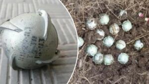 В Киеве после обстрела РФ находят кассетные боеприпасы — власти предупреждают об опасности В Киеве предупредили об опасных предметах после ночной атаки