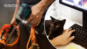 нові послуги в Дії - будівництво