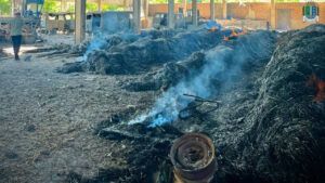 Атака дронів на Вилкове 25 червня