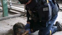 У Кременчуці врятували собак