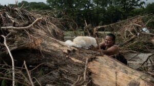повінь у техасі