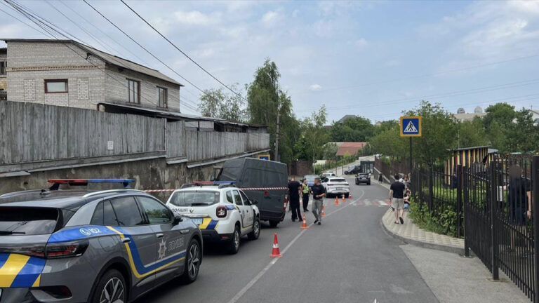 ДТП у Петропавлівській Борщагівці