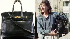 сумка біркін