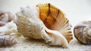 подув у раковину проти апное