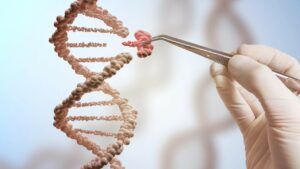 ДНК метод редагування генів