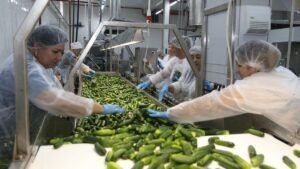 підприємство Бабуся Маруся