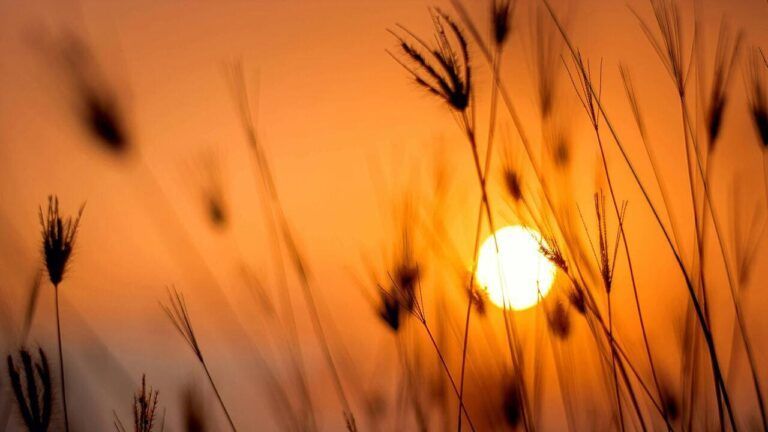 погода в Одессе в сентябре