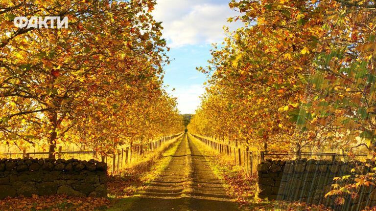 погода осінь дощ