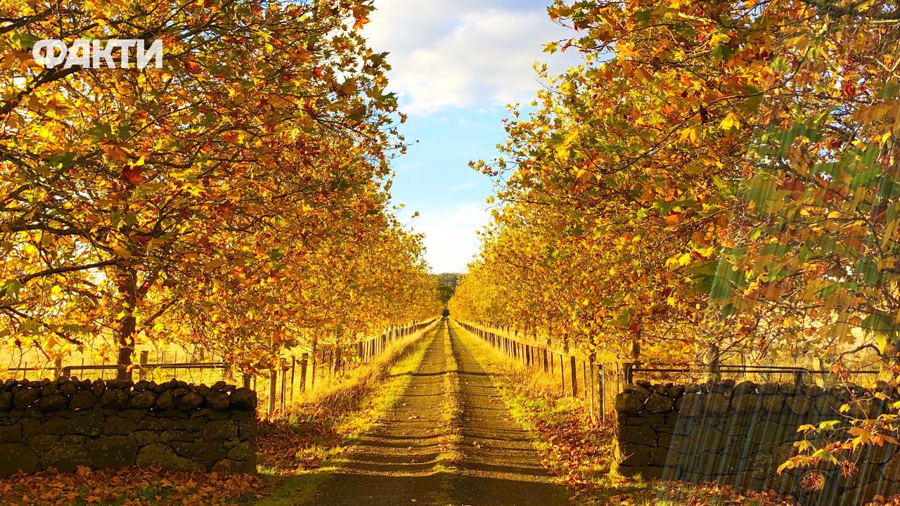 погода осінь дощ