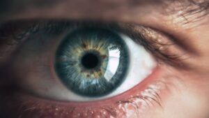 паразит 12 см в оці