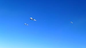 CENTCOM підтвердило удари США по позиціях ІДІЛ у Сирії