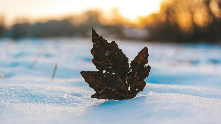 погода в Україні у листопаді,