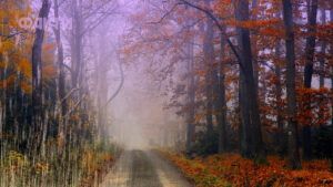 прогноз погоди