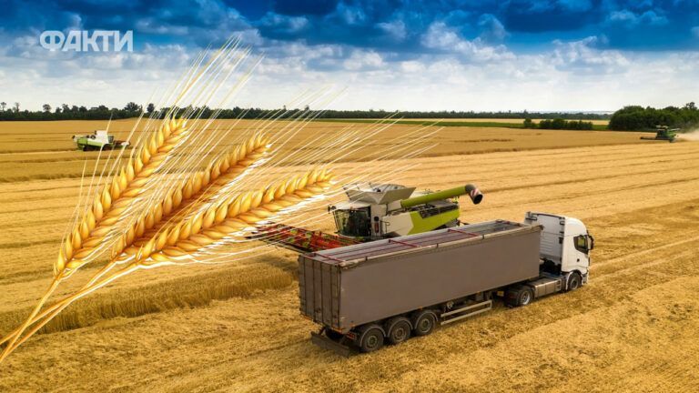 День працівників сільського господарства 2025