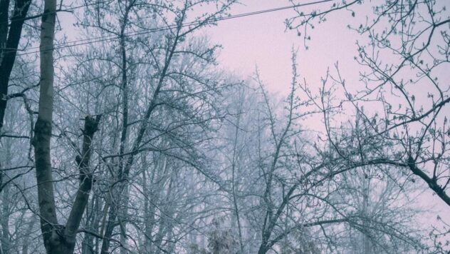 сніг у Дніпрі