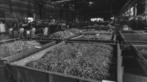 Як компанія Нейл залучає зумерів – що відомо