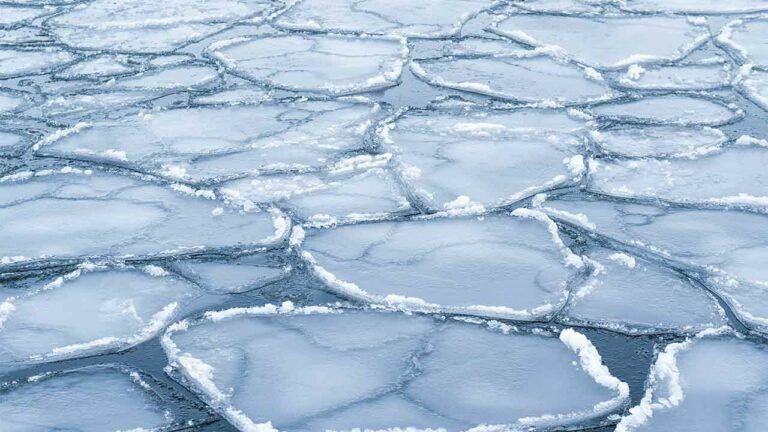 Водохреще