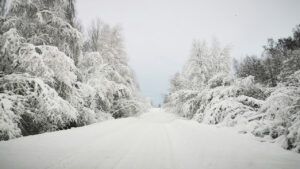 Погода у Києві та Київській області 8-9 січня: прогноз погоди на четвер і п'ятницю
