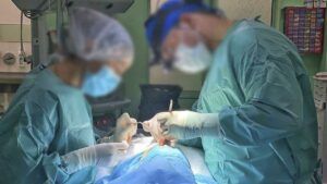 Пластичний хірург понівечив обличчя пацієнтки