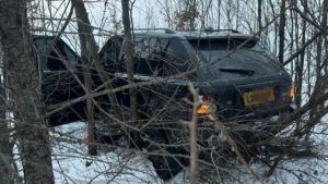 На Буковині під час спроби прориву кордону з Румунією травмовано прикордонника