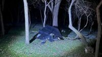 наслідки атаки на Одесу 13 січня наслідки атаки на Одесу 13 січня