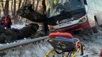 ДТП у Львівській області