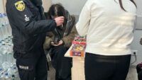ДТП у Львівській області