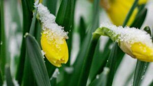 прогноз погоди на весну