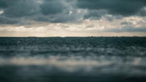 Екоцид у Чорному морі: через атаки РФ олією забруднено Тузловські лимани