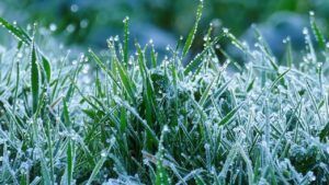 Яке свято 27 лютого 2026