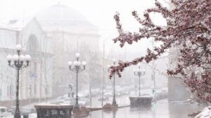 погода на тиждень