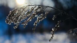 Яке свято 2 березня 2026