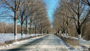 Яке свято 28 лютого 2026