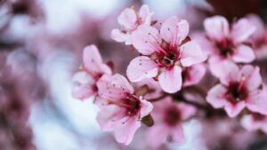 погода на квітень 2026,