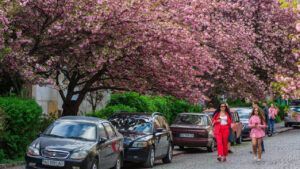 погода на наступному тижні