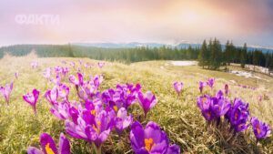 Погода в Україні на 10 днів: що прогнозують синоптики з 21.03 до 29.03.2026