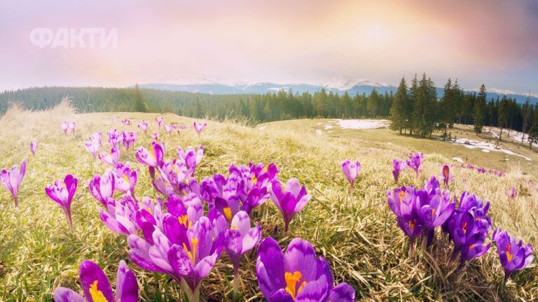 Погода в Украине на 10 дней: что прогнозируют синоптики с 21.03 до 29.03.2026