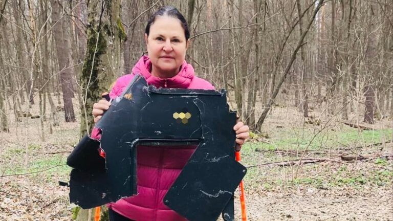 Посол ЄС Матернова знайшла уламки дрона під час прогулянки в лісі Києва