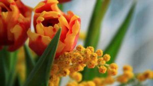 1 травня вихідний чи ні